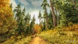 autumnwalk24g1920