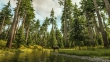 forest15deer_1920