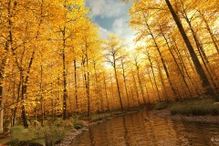 3D Landschaften 2020