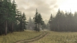 pinesinsummer1e1920