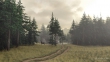 pinesrainydaydeer1b1920