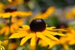 DSC_0076_1920
