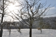 DSC_0001a_1920