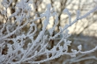 DSC_0008_1920