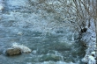 DSC_0011_1920
