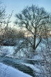 DSC_0024_1920