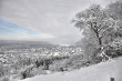 DSC_0047_1920
