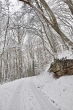 DSC_0050a_1920