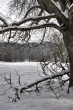 DSC_0058_1920
