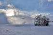 DSC_0105_1920