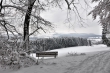 DSC_0234_1920