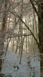 IMG_0912_1920
