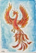 phoenixversion2