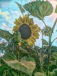Sonnenblume