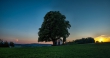 DSC_0084_stitch1600