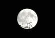 supermoon1__1024