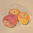 appleswithcarandachepablo2400