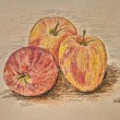 appleswithshuttleart2400
