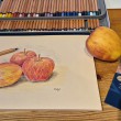 derwentlightfastapples2400