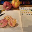 paintingapples6-2400