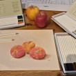 paintingapples9-2400