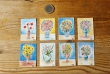 dailyflowersminipictures