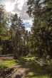 DSC_5601_1920
