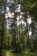 DSC_5603_1920