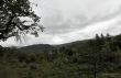 D72_1294n_1920