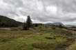 D72_7193_1920