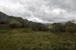 D72_7197_1920