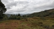 D72_7204_1920