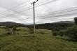 D72_7277_1920