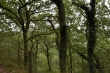 D72_7286_1920