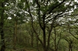 D72_7288_1920