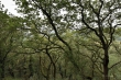 D72_7299_1920