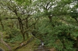 D72_7317_1920