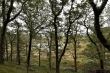 D72_7346_1920