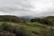 D72_7352n_1920