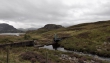 D72_7355n_1920