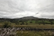 D72_7396_1920