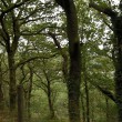D72_7286_1920