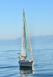 segelschiffchen1024