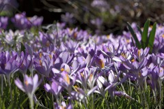 Frühling 2016