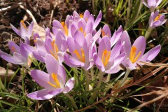 Frühling 2019