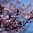 DSC_0479_1920