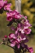 DSC_4374_1920