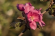 DSC_4391_1920