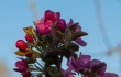 DSC_4392_crop_1920