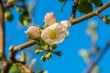DSC_4398_1920